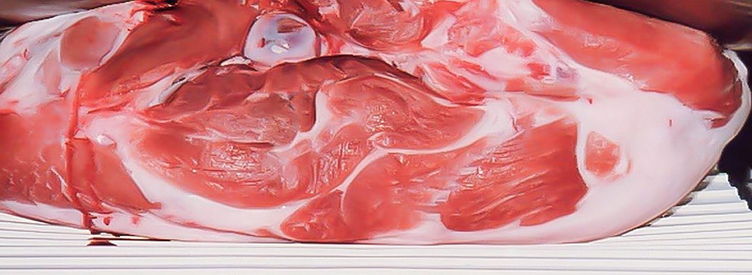 Protetto: equipment for processing raw pork hams